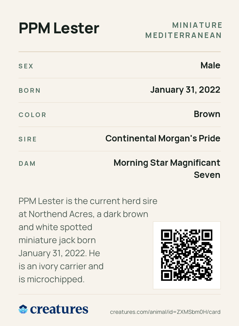 PPM Lester Creature Card back