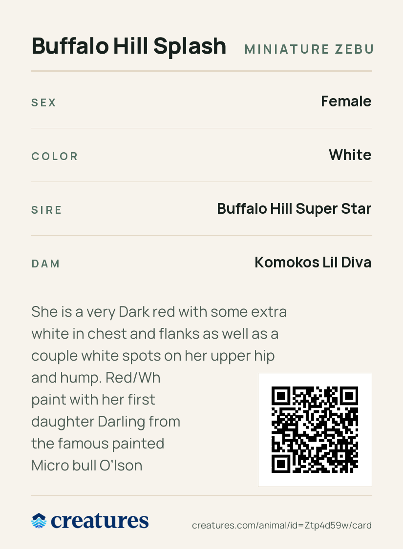 Buffalo Hill Splash Creature Card back