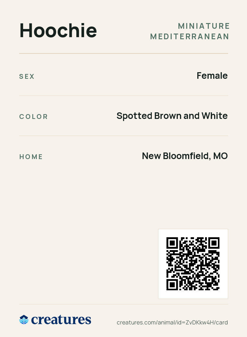 Hoochie Creature Card back