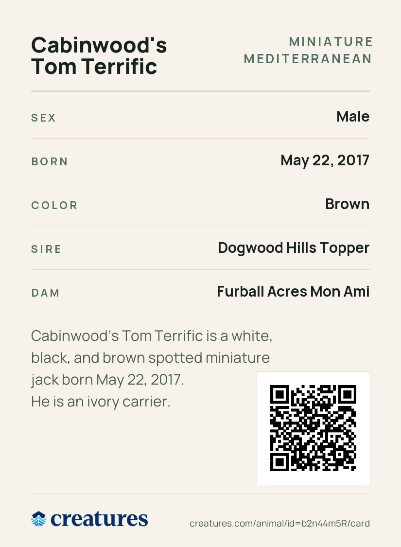 Cabinwood's Tom Terrific Creature Card back