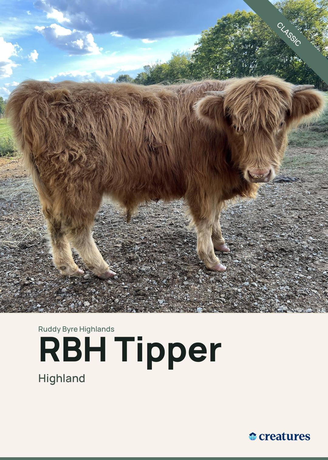 RBH Tipper Creature Card