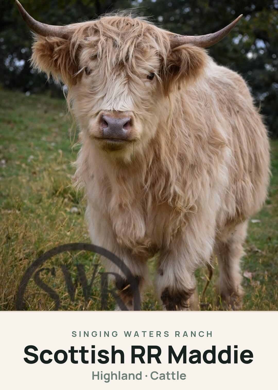 Scottish RR Maddie Creature Card