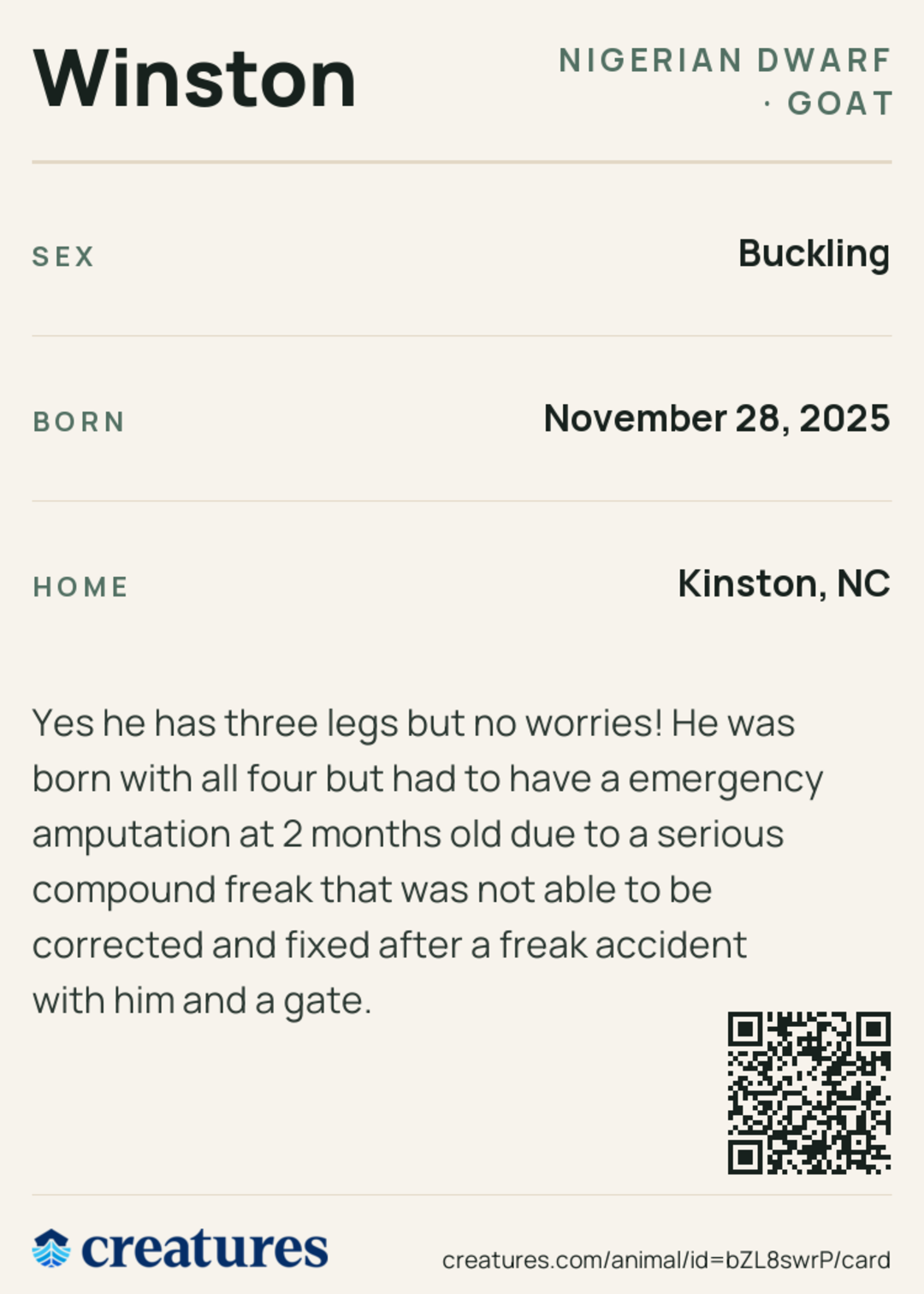Winston Creature Card back