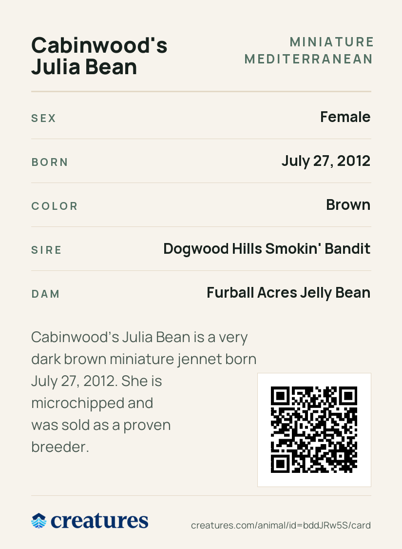 Cabinwood's Julia Bean Creature Card back