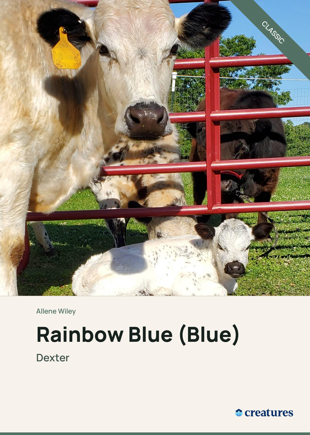 Rainbow Blue (Blue) Creature Card