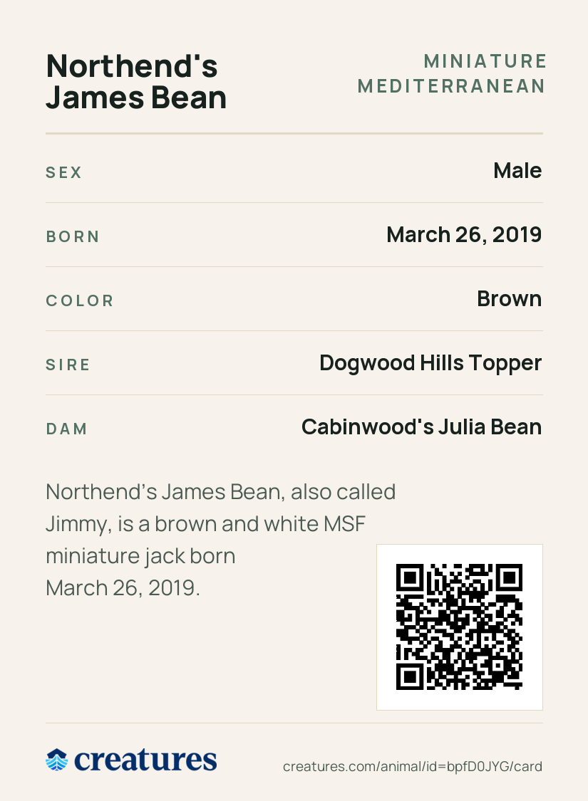 Northend's James Bean Creature Card back