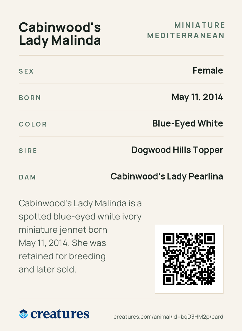 Cabinwood's Lady Malinda Creature Card back