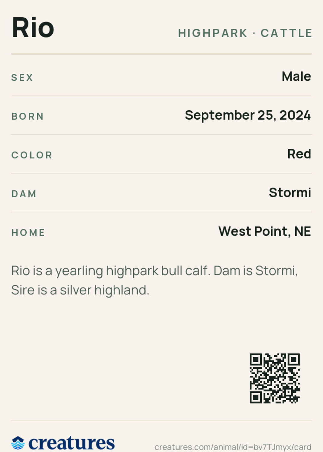 Rio Creature Card back