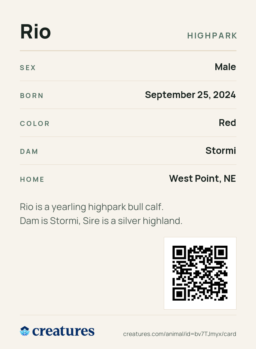 Rio Creature Card back