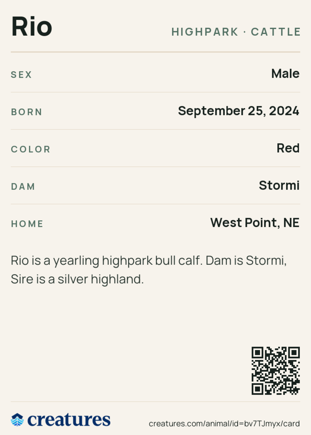 Rio Creature Card back