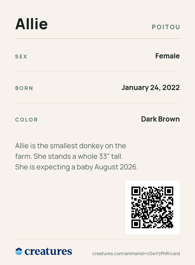 Allie Creature Card back