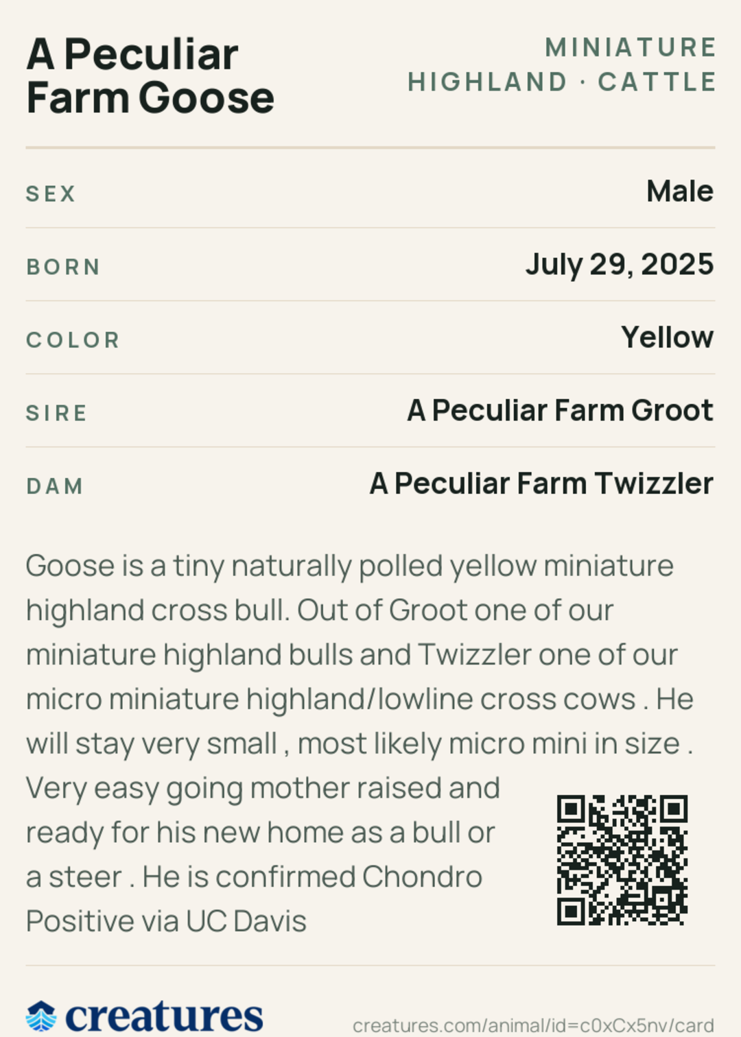 A Peculiar Farm Goose Creature Card back