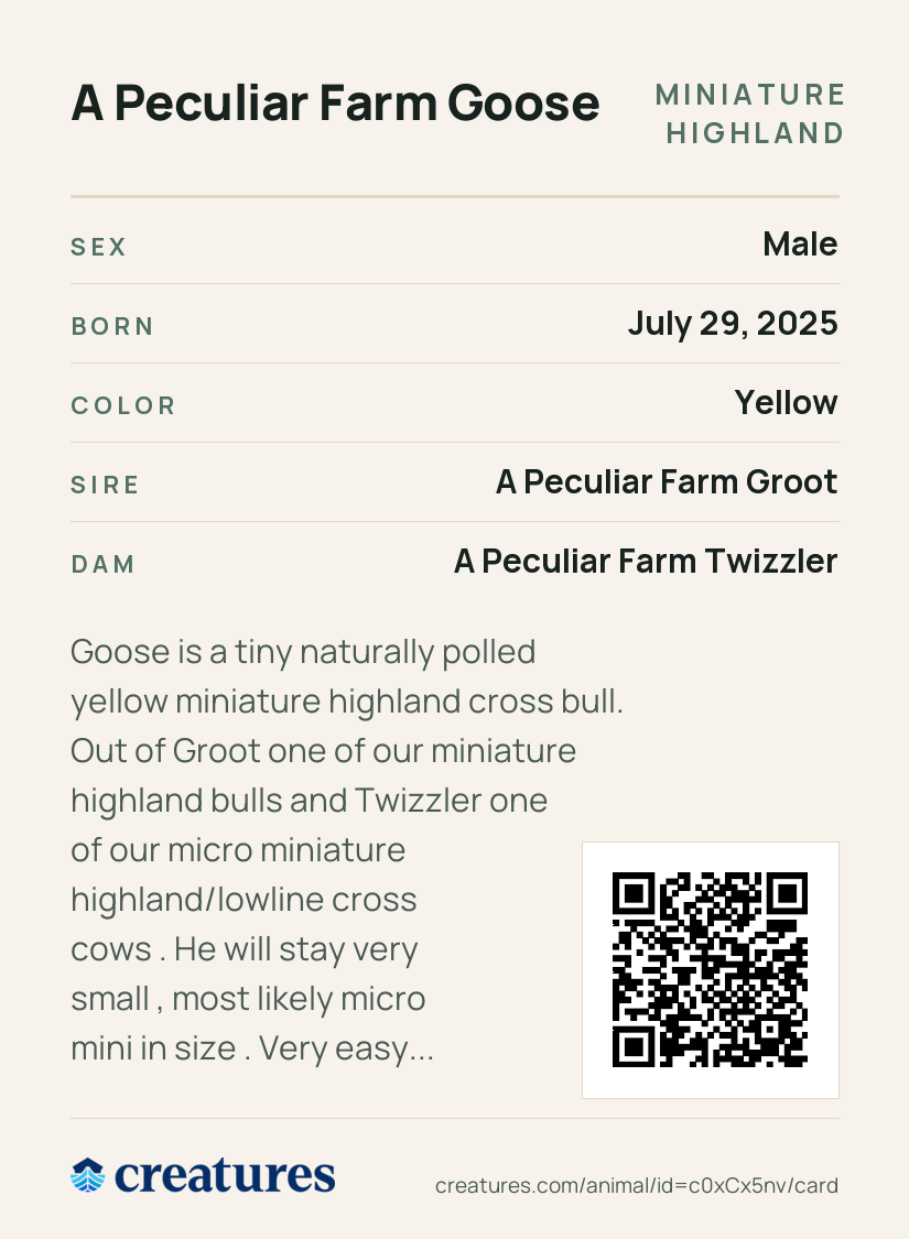 A Peculiar Farm Goose Creature Card back