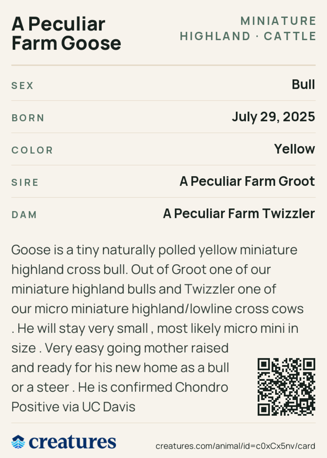 A Peculiar Farm Goose Creature Card back