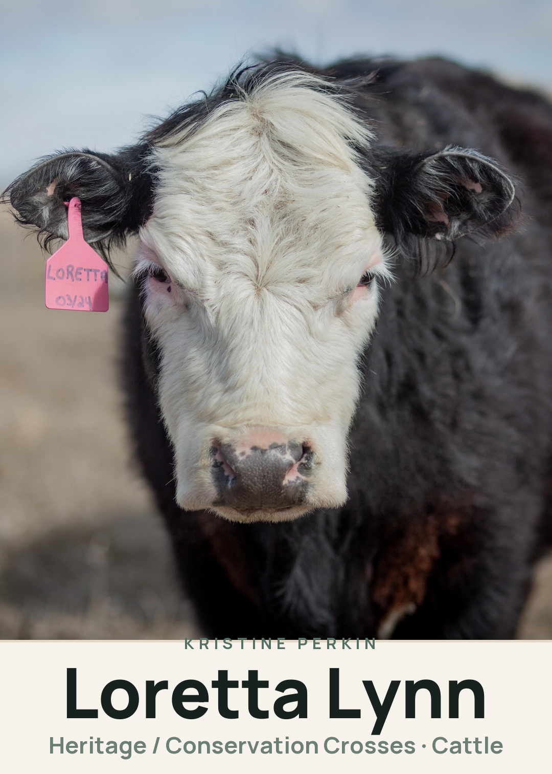 Loretta Lynn Creature Card