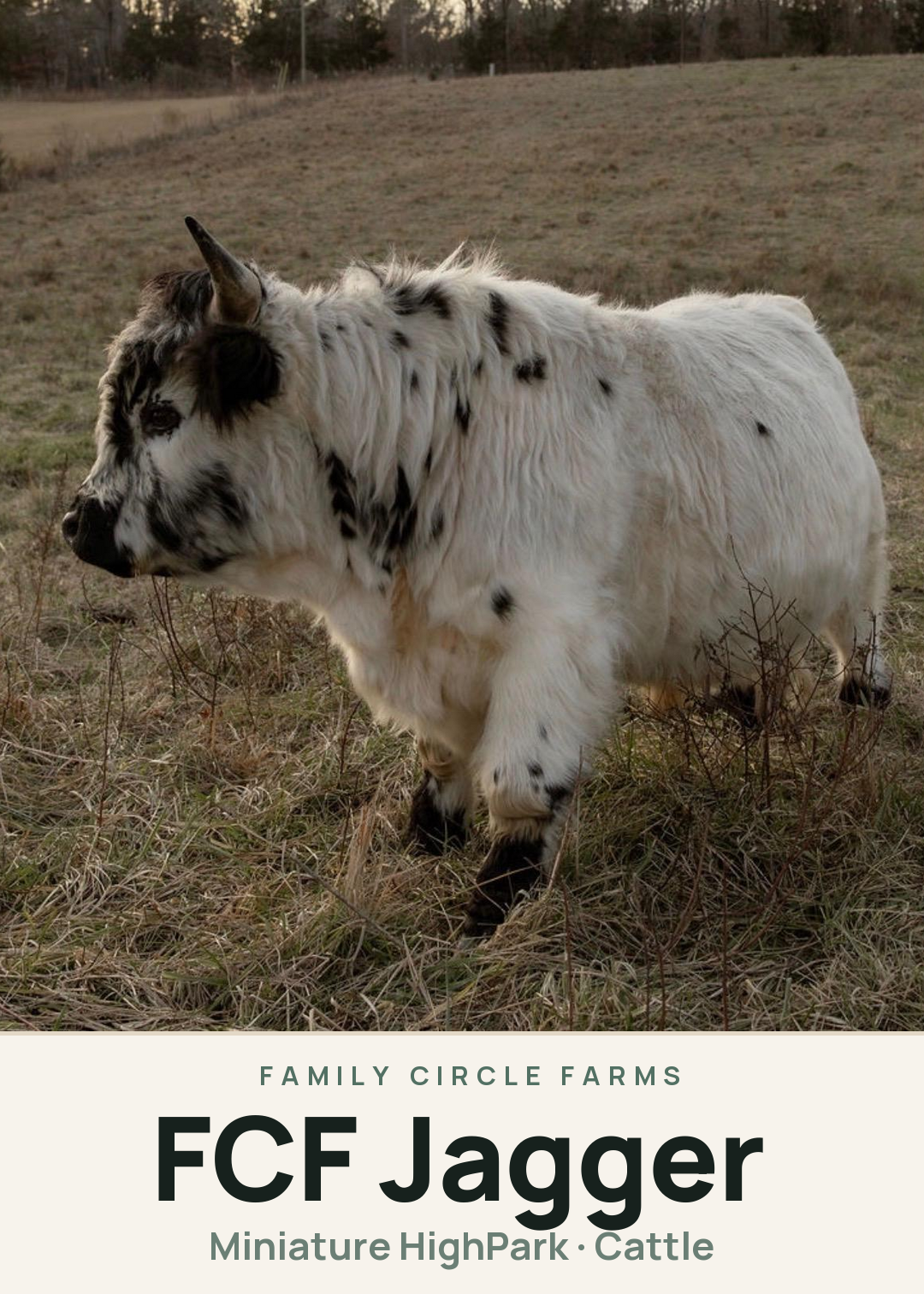 FCF Jagger Creature Card