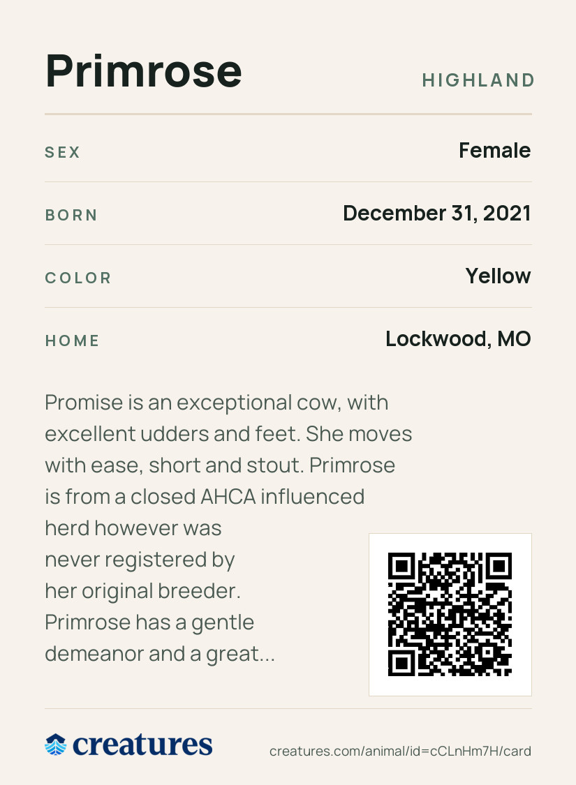 Primrose Creature Card back