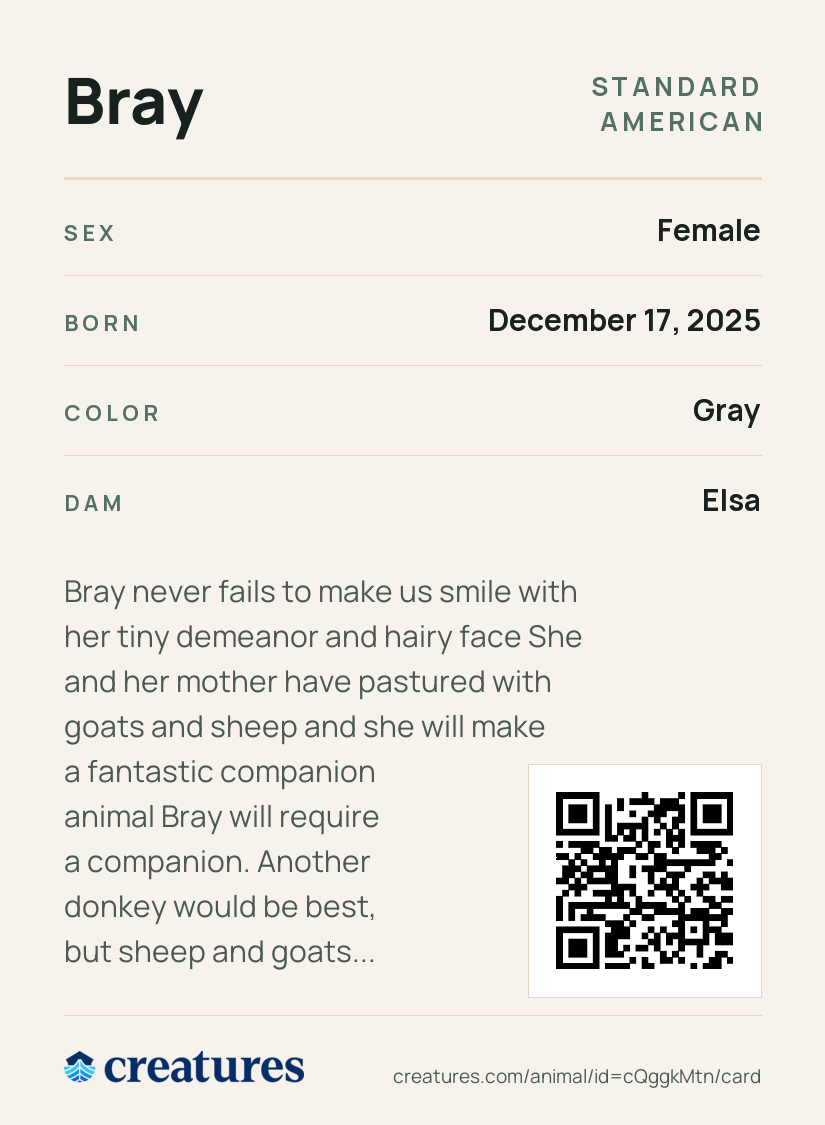 Bray Creature Card back