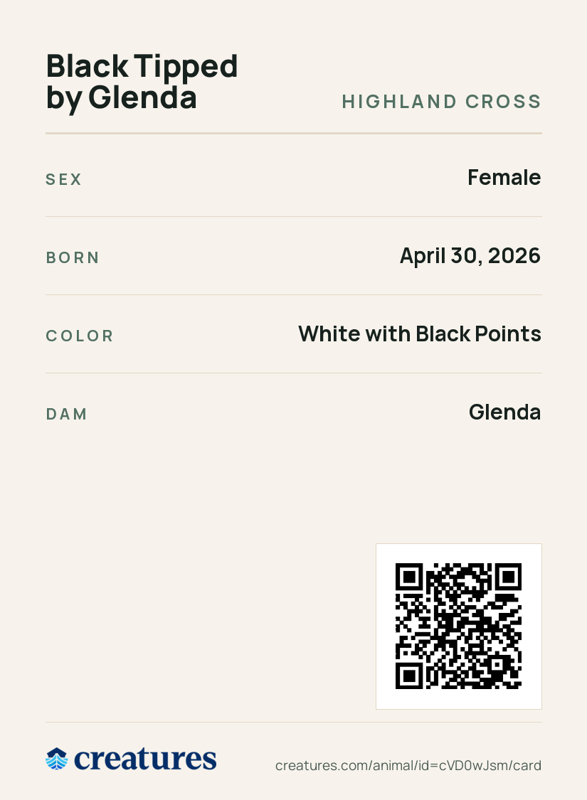 Black Tipped by Glenda Creature Card back
