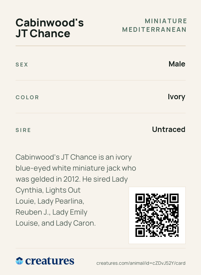 Cabinwood's JT Chance Creature Card back