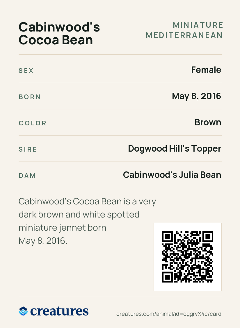 Cabinwood's Cocoa Bean Creature Card back