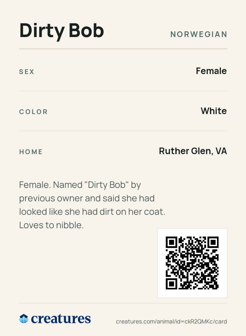 Dirty Bob Creature Card back