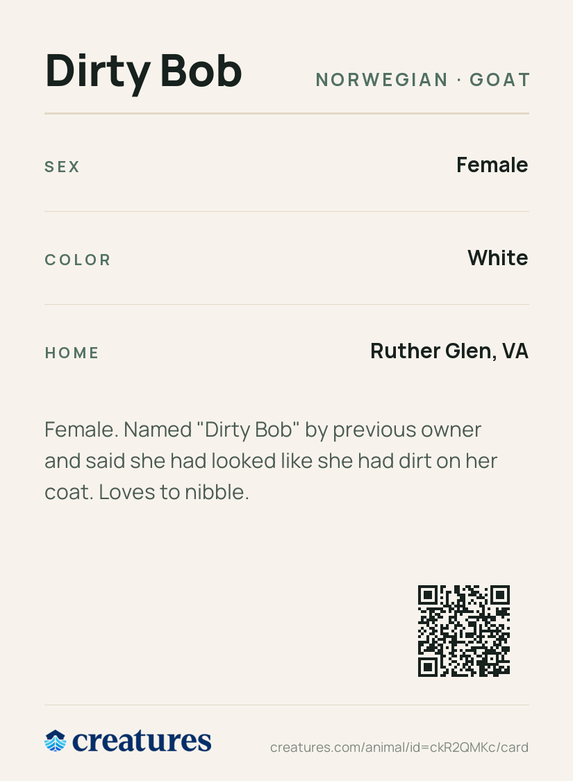 Dirty Bob Creature Card back