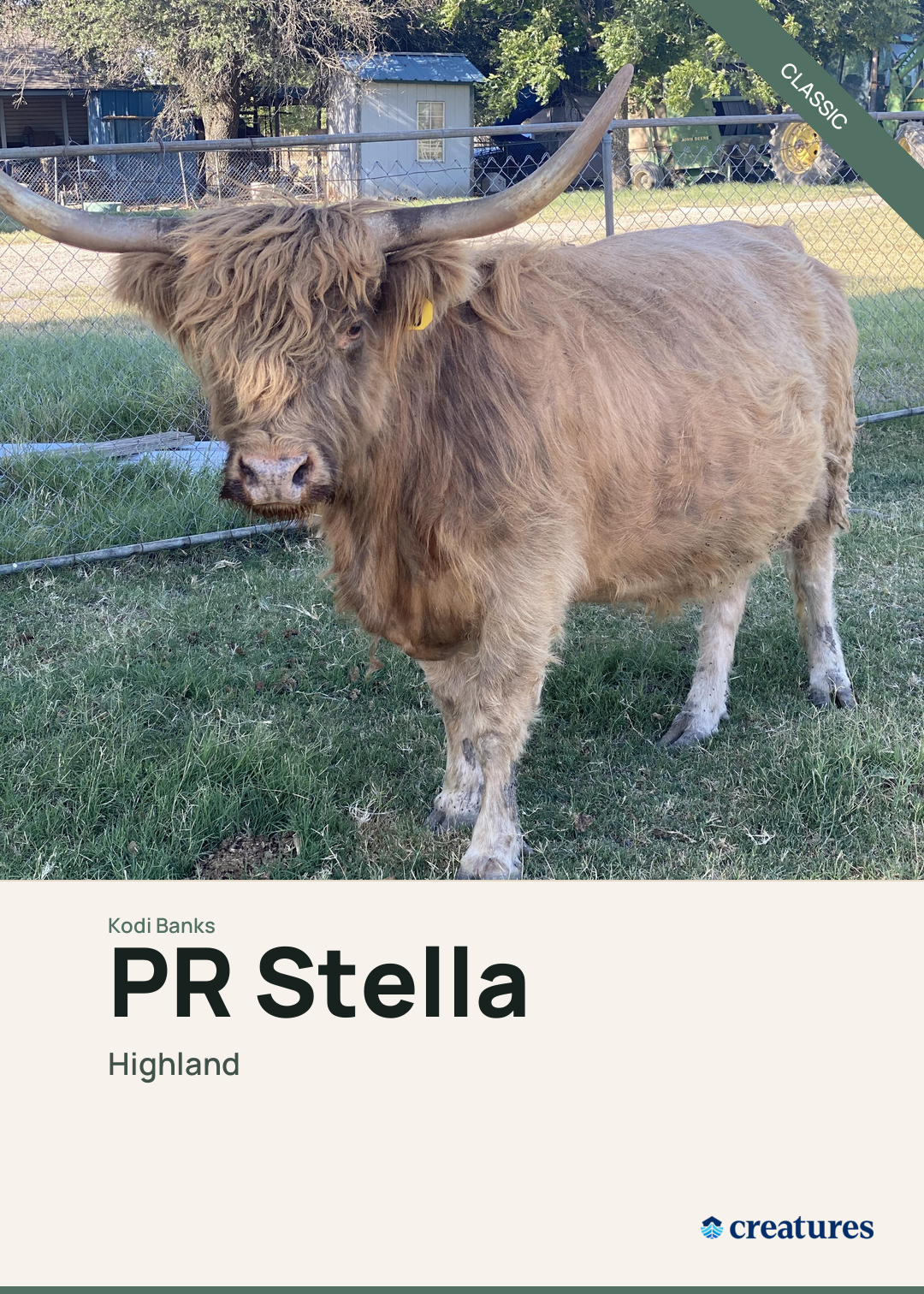 PR Stella Creature Card