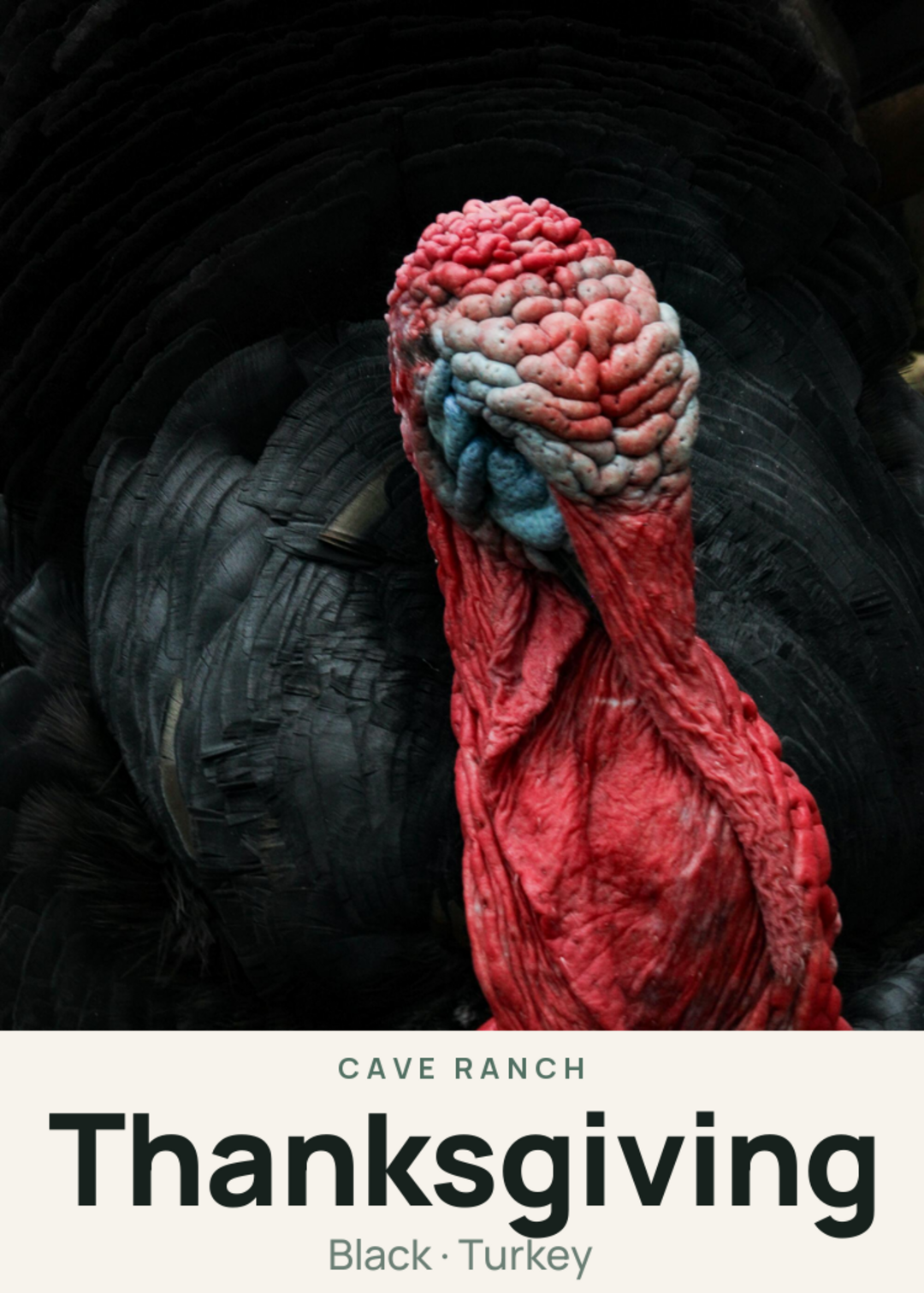 Thanksgiving Creature Card
