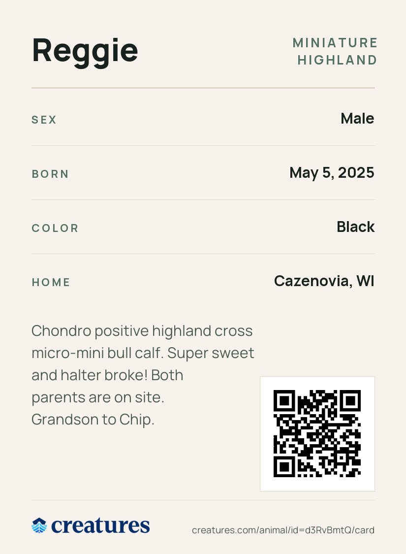Reggie Creature Card back