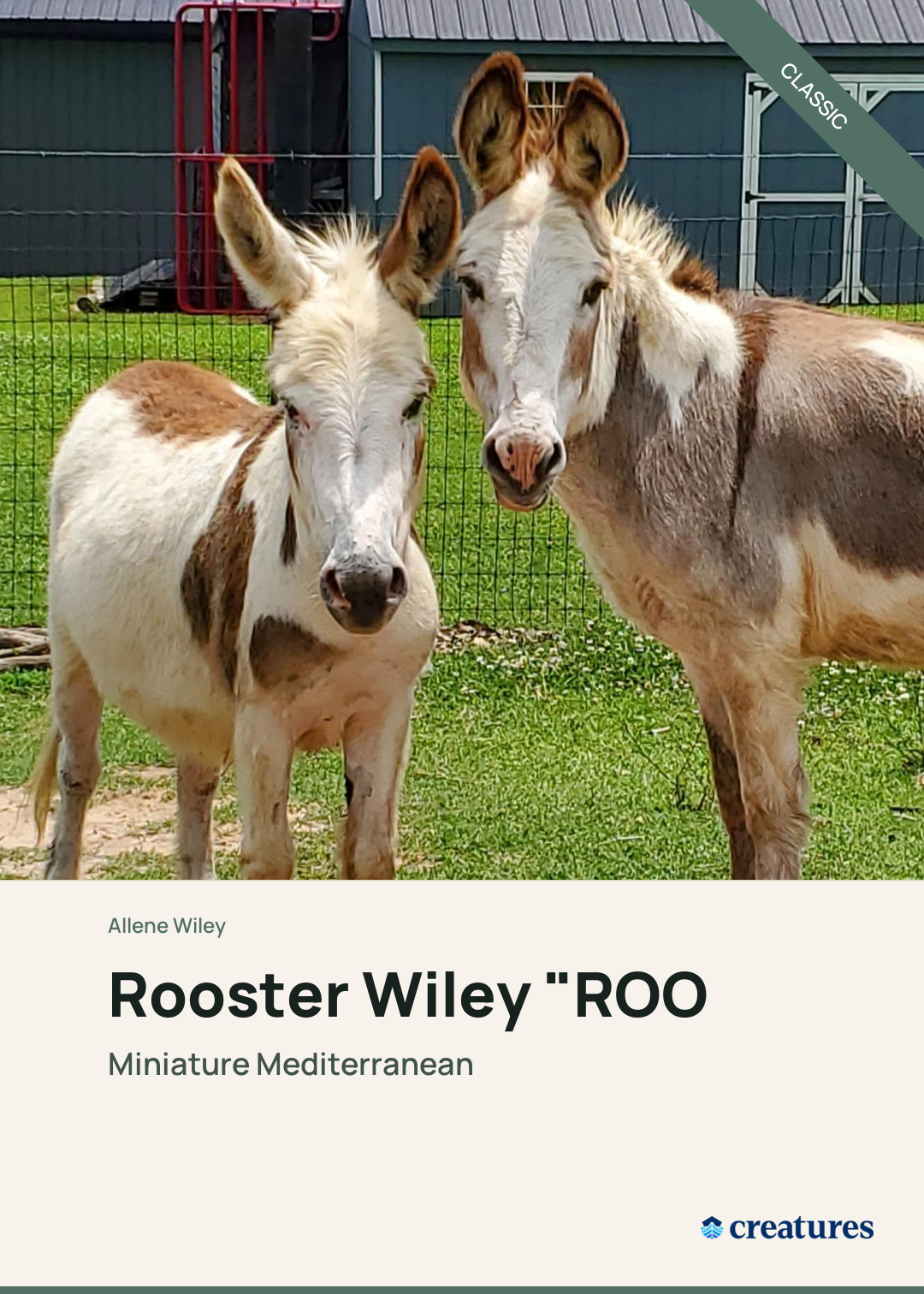 Rooster Wiley "ROO" Creature Card