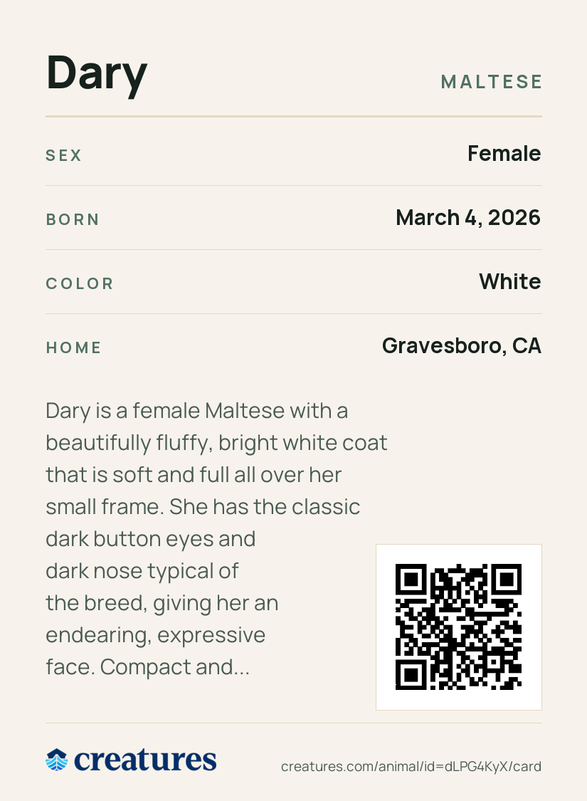 Dary Creature Card back