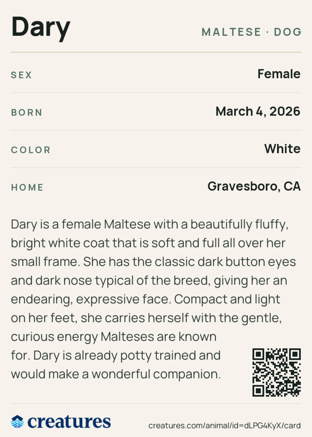 Dary Creature Card back