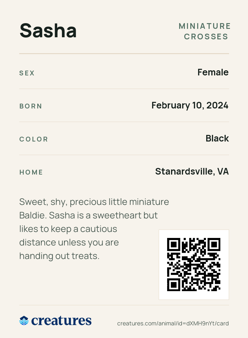 Sasha Creature Card back