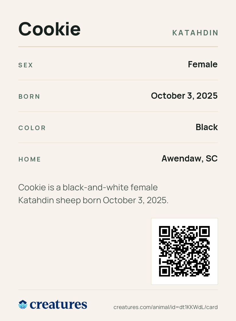 Cookie Creature Card back