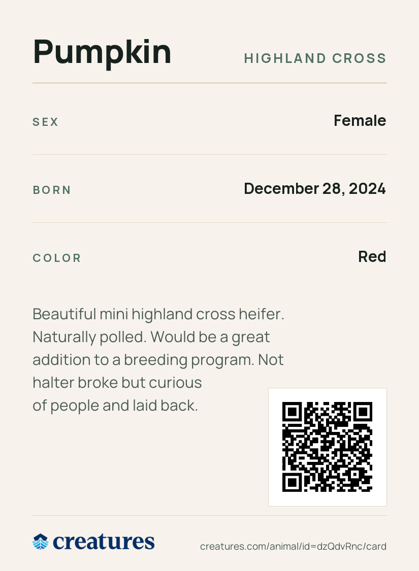 Pumpkin Creature Card back