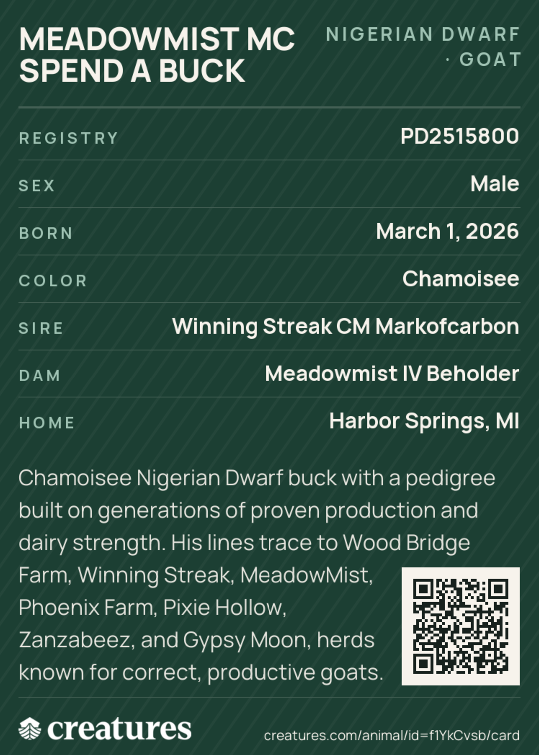 Meadowmist MC Spend A Buck Creature Card back