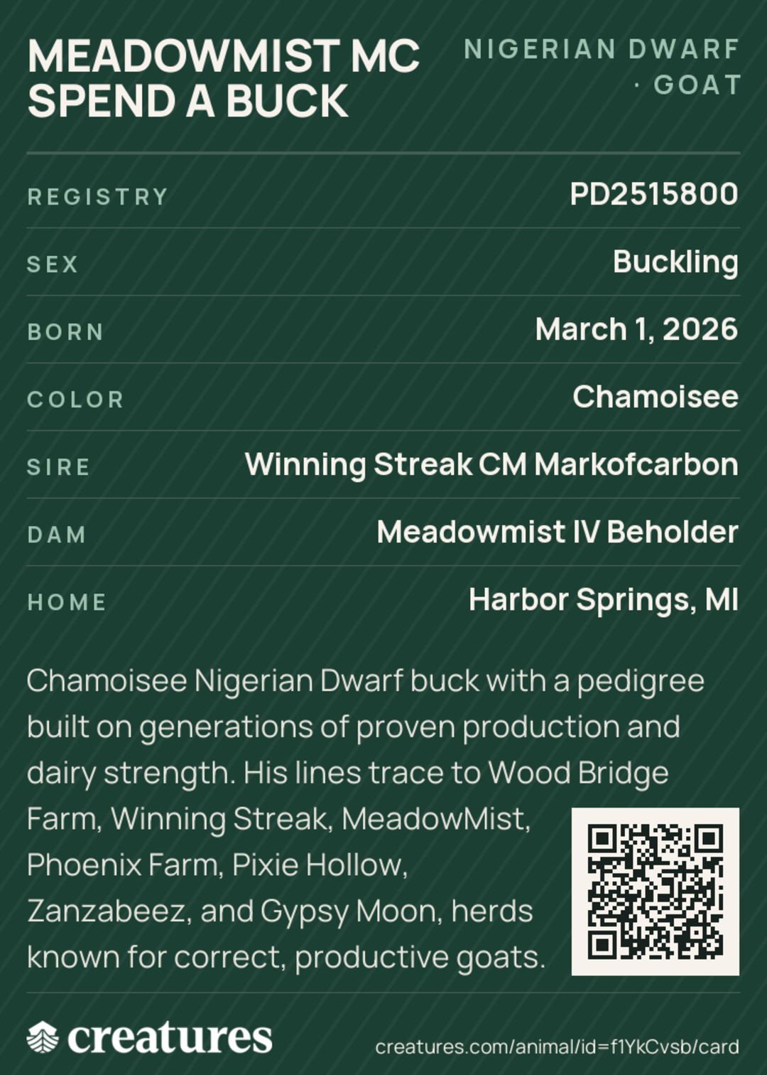 Meadowmist MC Spend A Buck Creature Card back