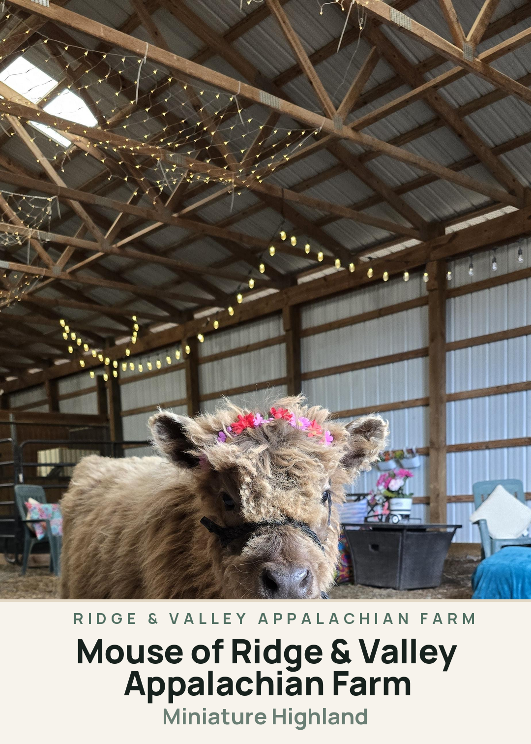 Mouse of Ridge & Valley Appalachian Farm Creature Card