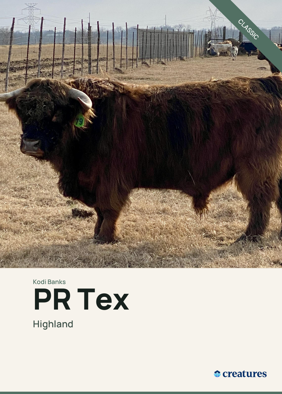 PR Tex Creature Card