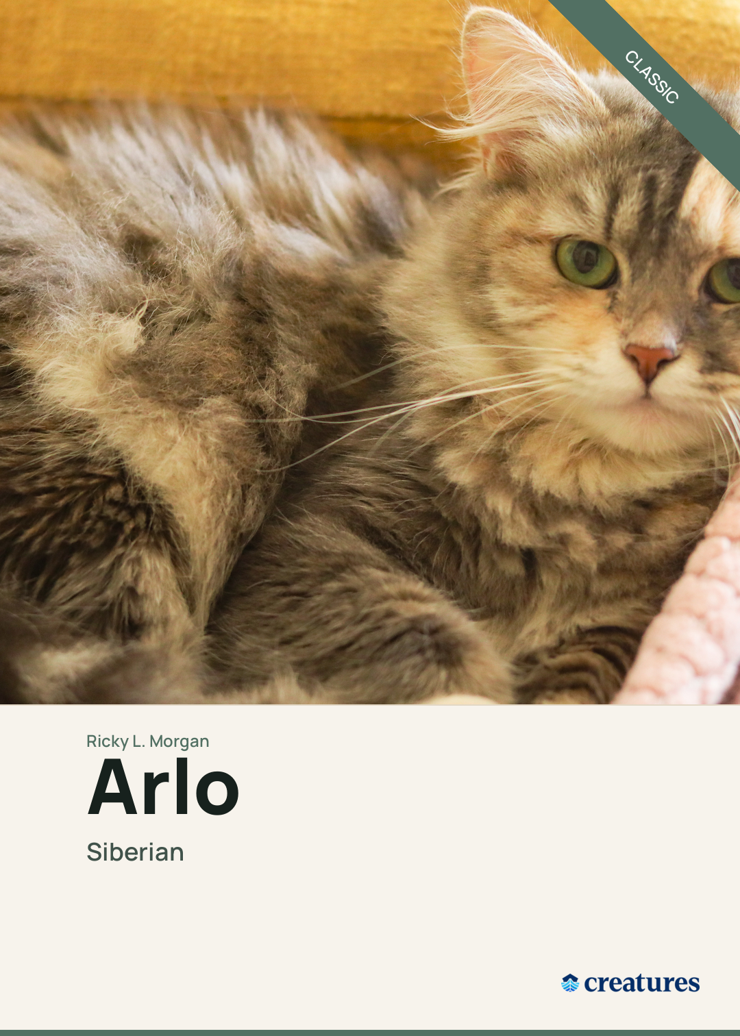 Arlo Creature Card