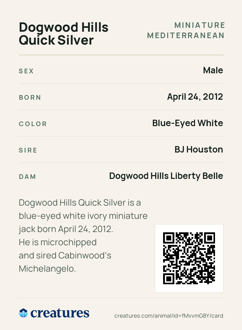 Dogwood Hills Quick Silver Creature Card back