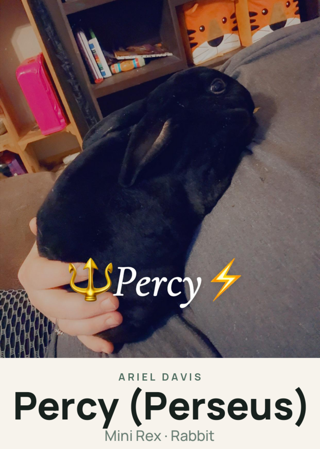 Percy (Perseus) Creature Card