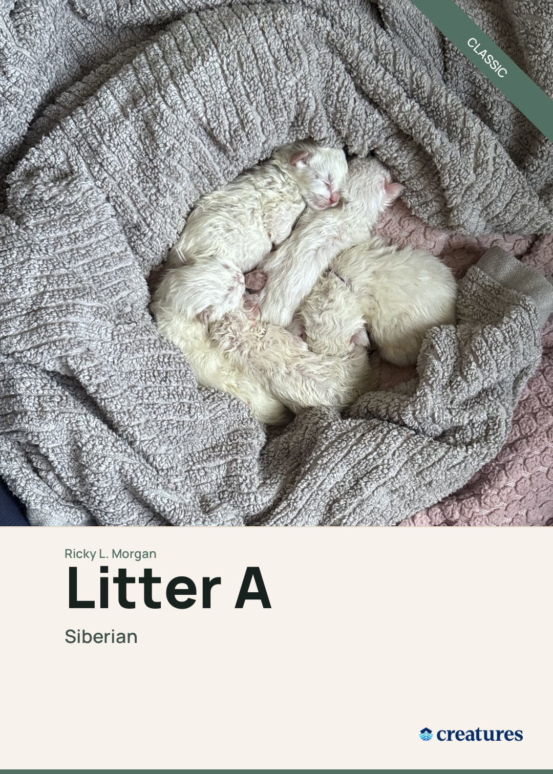 Litter A Creature Card