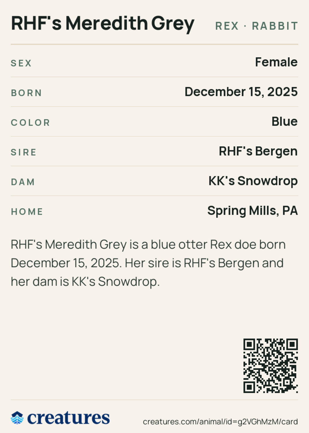 RHF's Meredith Grey Creature Card back