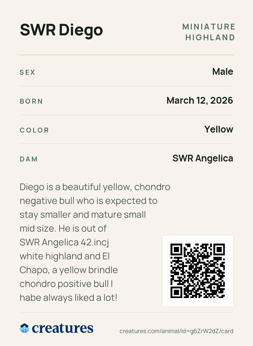 SWR Diego Creature Card back