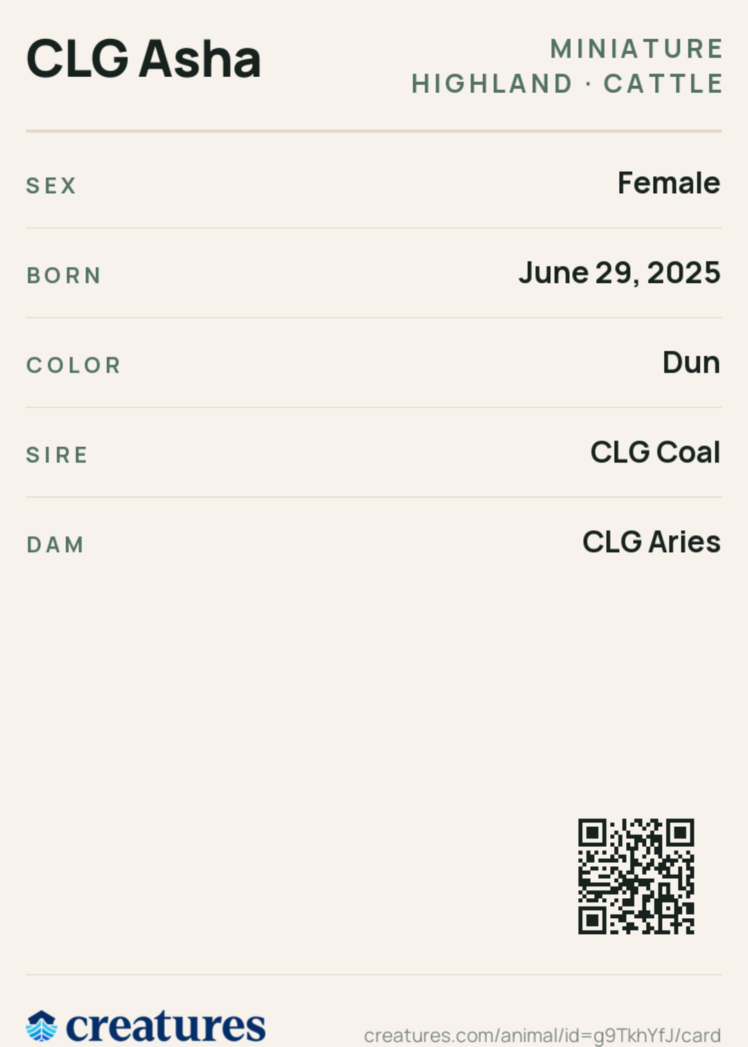 CLG Asha Creature Card back