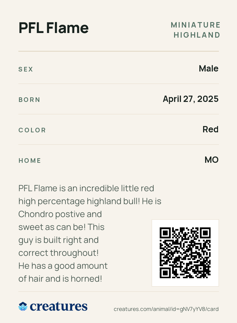 PFL Flame Creature Card back