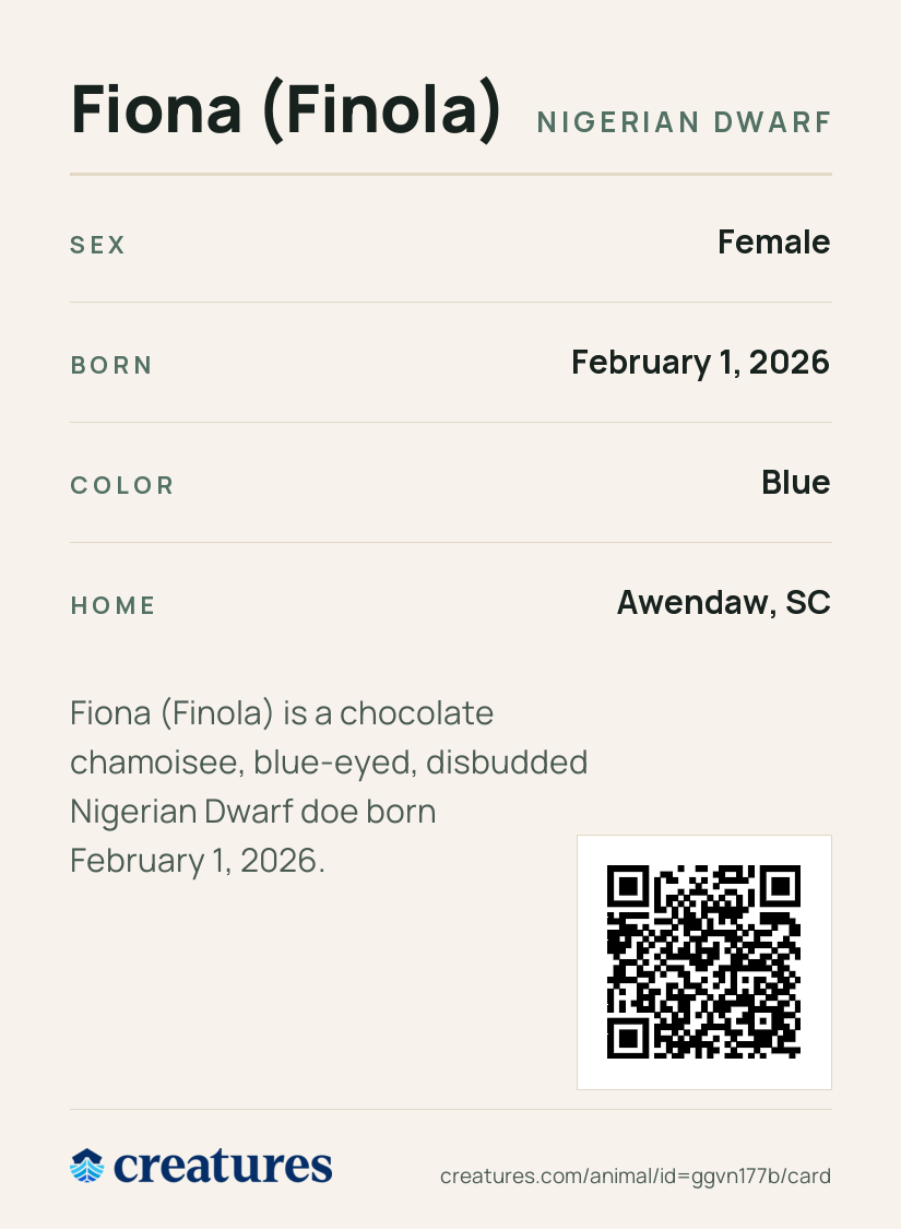 Fiona (Finola) Creature Card back