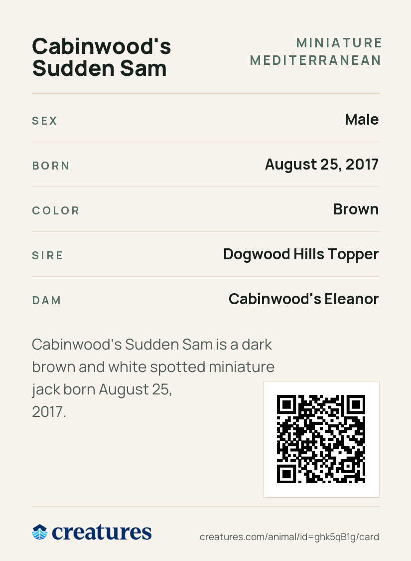 Cabinwood's Sudden Sam Creature Card back